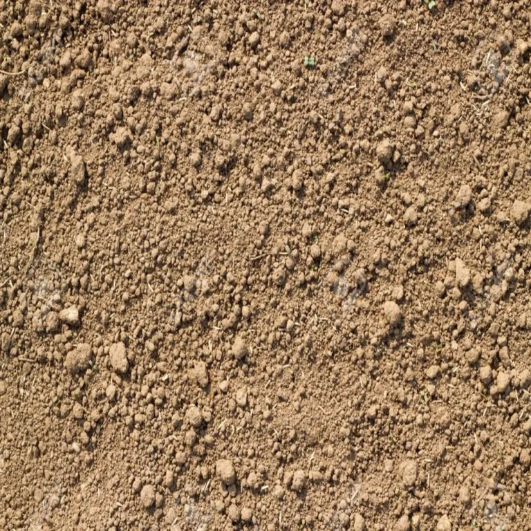 Ghassu