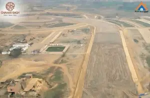 Dev 1