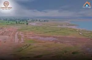 Dev 3